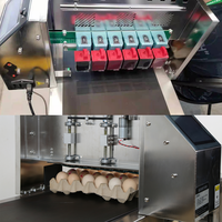 Codeur d'œufs de bureau électrique avec cartouche d'encre, machine d'impression de la date d'expiration des œufs, imprimante de la date d'expiration, machine de codage d'œufs intelligente Tij