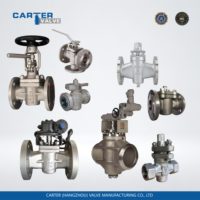 Vanne d'arrêt Carter en acier au carbone ou inox 304/316/316L, 2, 3 ou 4 voies, filetage NPT/BSP, raccord à olive, bride RF, manuelle