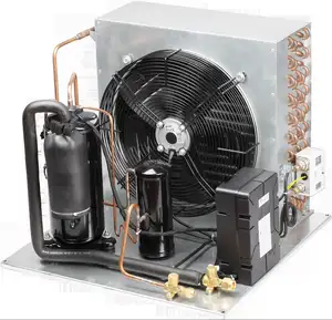 נמוך טמפרטורת chiller עיבוי יחידה עבור קר חדר ציוד visi cooler באר cooler מקפיא חזה cooler קרח קרם