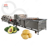 Automatische roestvrijstalen industriële motor fruit bladgroente knoflook aardappel ui palm dadels olijf wasmachine hoogwaardig