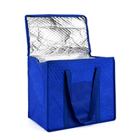 Sac isotherme personnalisé avec logo, sac de livraison alimentaire thermique, vente en gros, grande capacité, imperméable, pique-nique, camping