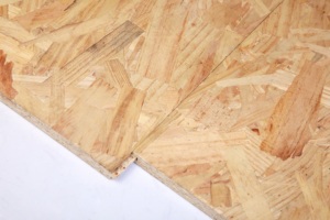 Panneaux <span class=keywords><strong>OSB</strong></span>-3 en Chine, certifiés CE/FSC/FM, à rainures et languettes, épaisseur 6 <span class=keywords><strong>mm</strong></span>, 9 <span class=keywords><strong>mm</strong></span>, 17 <span class=keywords><strong>mm</strong></span>, <span class=keywords><strong>prix</strong></span> des panneaux <span class=keywords><strong>OSB</strong></span>-3, épaisseur <span class=keywords><strong>18</strong></span> <span class=keywords><strong>mm</strong></span> - Product Image 5