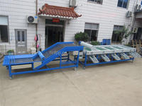 Automatische Gailic sorteermachine, knoflook sorteermachine, groente- en fruit sorteermachine, tomaten sorteermachine
