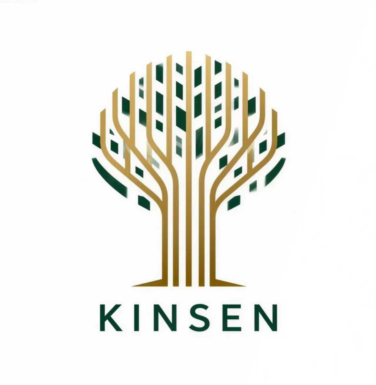 Kinsen Global Co., Limited logo