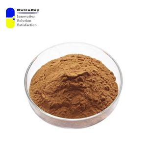 مسحوق استخراج الكاكاو الممتاز ، الثيوبرومين ؛ معزز الطاقة الطبيعي ودعم القلب والأوعية الدموية. استخراج بذور الكاكاو من الثيوبروما - Product Image 4