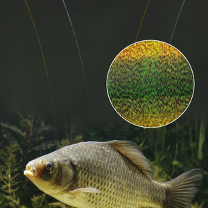 Wildtrek Lenza da Pesca in Nylon Invisibile Multicolore di Alta Qualità, 120M, con Linea Punteggiata per Pesca di Persico e Carpa - Product Image 5