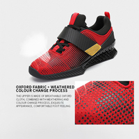 Chaussures de musculation antidérapantes personnalisées avec logo LADYGLOW, vente en gros, pour femmes et hommes, chaussures de squat pour la musculation