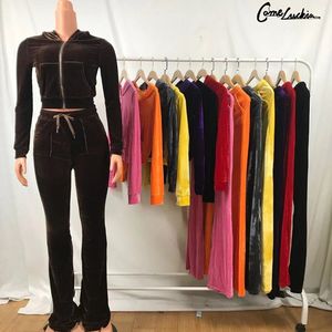 Conjunto Deportivo de Terciopelo para Mujer de Dos Piezas, Sudadera Corta con Capucha y Cremallera, Chándal Casual de Velour para Mujer - Product Image 4