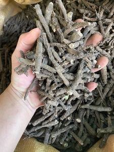 Xian Mao Atacado Preto Kali Curculigo Orchioides Raízes para Venda - Product Image 4