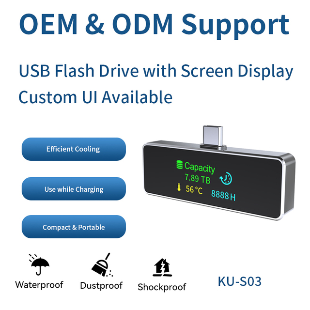 USB 3.0 Type-C Metal USB Flash Drive with Digital Screen Display 64GB/128GB/265GB 1-Year Warranty Encrypted New