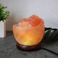 Holzfuß Ladegerät USB Natural Crafts Fire Bowl Glücks lampe aus Pakistan Pink Stone Herstellungs preis Himalaya Salz lampe