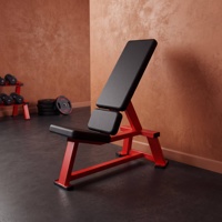 Banc d'entraînement réglable en acier moderne pour haltères, idéal pour la salle de sport