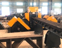 Línea de Máquinas de Perforación CNC para Acero Angular de la Industria de Torres de Hierro de Fábrica China para el Mercado Indio