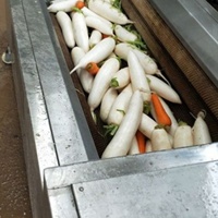 Machine de nettoyage de brosse de composants de noyau de moteur de moteur de PLC pour des fruits et légumes