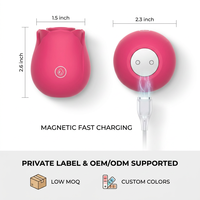 Premium Vibrator für Frauen mit 10 Modi, Nippel- und Klitoris-Sauger, G-Punkt-Stimulator aus Medizinischem Silikon, Wiederaufladbares Sexspielzeug