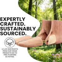 Embauchoir moderne en bois de cèdre 100% naturel, respirant, désodorisant, anti-humidité et anti-plis pour chaussures et bottes en cuir