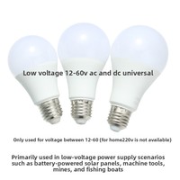Ampoule LED à lumière chaude 3000K E27 12V 24V 36V, haute luminosité, basse tension, éclairage pour bateaux de pêche, machines-outils