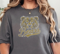 Prêts à expédier : Nouveauté – Motifs thermocollants pour équipes sportives, logo ours de cheerleading, à fixer à chaud