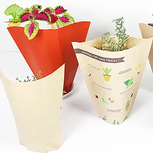 Borsa biodegradabile della pianta della manica della carta Kraft per la verdura ed il fiore del basilico che imballano il tubo di carta ecologico