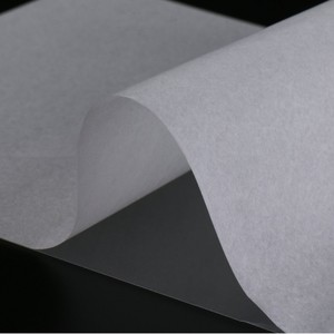 Etiquetas Autoadhesivas de Papel Impresas con UV Watson, 0.3mm de Grosor, Resistentes al Agua, para Impresión de Códigos de Barras - Product Image 1