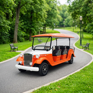 Auto Turístico Clásico Eléctrico de 8, 11 y 14 Plazas, Color Personalizado, con Certificado CE - Product Image 1