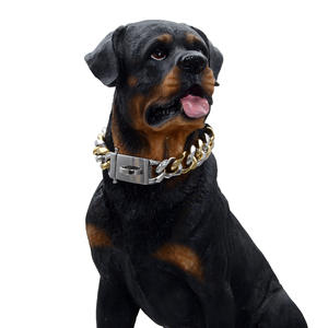 Bouledogue français chaîne de chien scintillante collier chaîne cubaine 19mm collier de chien en métal gros chien chaîne colliers laisse - Product Image 1