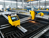 Machine de découpe plasma CNC portative mini-portique à double entraînement pour tôles métalliques et structures en acier