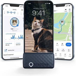 Traceur GPS intelligent pour chat Tractive, batterie 1 an, suivi en temps réel, localisation de l'animal, surveillance de la santé, application iOS - Product Image 1