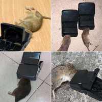 Prix d'usine Piège à rats en plastique aABS réutilisable jetable Piège à souris en plastique