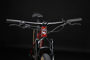 SUNPEED fabrika Mtb 29 "tekerlek SRAMM SX 12 hız karbon dağ bisikleti - Product Image 5