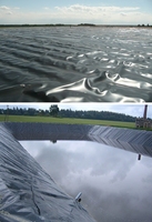 La bâche en polyéthylène PVC imperméable de haute qualité est utilisée pour le tissu plastique imperméable dans l'étang à poissons
