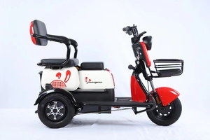 Tricycle Électrique à <span class=keywords><strong>3</strong></span> <span class=keywords><strong>Roues</strong></span> en Promotion – Tricycle Passager, Vélo Électrique de Transport, E-Bike pour Adultes - Product Image 5