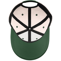 Casquette de baseball brodée personnalisée en usine, deux couleurs, motif Silly Goose, casquette de baseball brodée amusante pour hommes et femmes