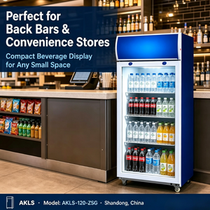 Vente directe usine – Réfrigérateur à boissons Cola à porte vitrée verticale, température unique, personnalisable avec logo, à compresseur, prix abordable - Product Image 2