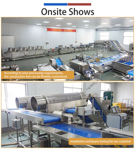 FENGXIANG Bean Processing Line Automatic Stem Removing, Washing, Cutting, <b>Drying</b> Machine 1000kg/h Vegetable Production <b>Equipment</b> - Product Image 6
