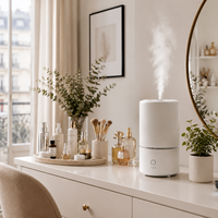 Humidificateur à ultrasons 3L à brume froide, diffuseur d'arômes avec veilleuse LED, deux modes de brume et arrêt automatique pour chambre, maison, bureau