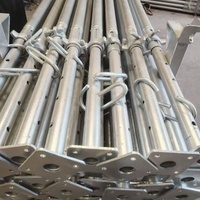 Puntales Metálicos para Andamios de Fachada, Diseño Moderno, para Construcción, Acro Jacks, Venta en China