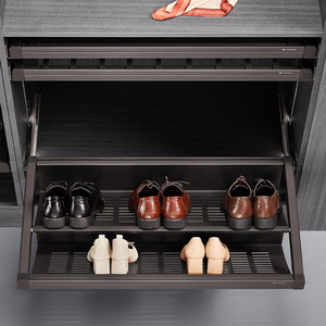 Cooper Panel <b>Shoe</b> Rack Pull Out <b>Drawer</b> Type With Buffer Damping <b>Storage</b> Wardrobe Undercounter Aluminum Alloy Modern Minimalist - Product Image 1