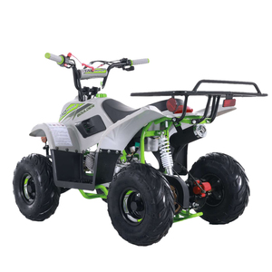 Quadricycle agricole Tao Motor pas cher Cuatrimotos 110cc ATV pour enfants à vendre - Product Image 5