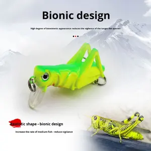 Shareshark impreso ABS Mini cebo duro biónico cebo de insectos para carpa y lubina pesca inferior 5 piezas atrae peces en el lago - Product Image 4