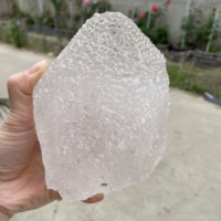 Cristaux de quartz nirvana naturels et purs, non polis, en forme de graines, points de cristal bruts, spécimen de quartz bouddha à bulles