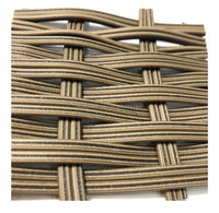 Machine d'extrusion de rotin synthétique en plastique pour la fabrication de rotin artificiel, vente chaude 2025