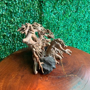 Quarium OSS ree-riftwood, para ququarium-rifriftwood ree-ural atral onsai riftwood, 102,1 - Product Image 4