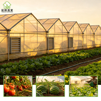 Systèmes de culture hydroponique de tomates, serre multi-voûtes à structure galvanisée, couverture en film PE, grande taille pour la culture de légumes