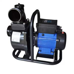 Système de pompe à eau solaire auto-amorçante 900W à moteur DC, 0,5 CV, débit 50m³/h, hauteur de refoulement 17m, modèle DCPM50-17-110-1500-A/D - Product Image 1