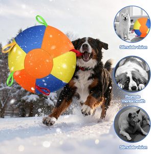 Jouet d'entraînement indestructible, grande balle pour <span class=keywords><strong>chien</strong></span> avec poignées pour jouer en extérieur, balle de pâtéage pour chiens - Product Image 4