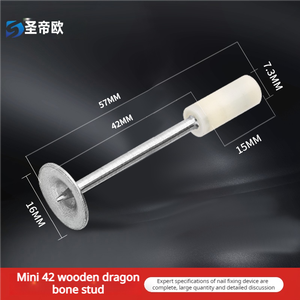 Clou de <span class=keywords><strong>fixation</strong></span> pour <span class=keywords><strong>plafond</strong></span> de haute qualité, clou courant à tête ronde, clou de toiture en acier à tige lisse - Product Image 3