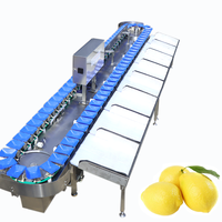 Fruit- en groenteweeg- en sorteermachine, PLC-gestuurd, hoge capaciteit, aanpasbaar, merk Kehong, model KHLH-6J, 220V, 0.75kW
