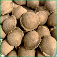 CHAOKUN Matériau granulaire en boules d'argile bentonite standard pour l'étanchéité, le colmatage et le remblaiement de puits