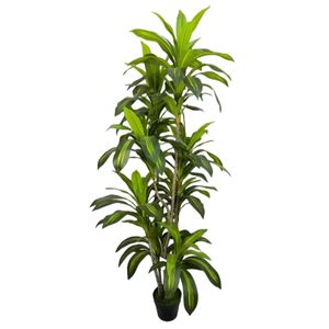 Nhà máy giá rẻ sống động như thật nhân tạo dracaena fragrans cây trong nồi 6 đầu Faux chậu dracaena nhà máy để bán cho ban công trang trí nội thất - Product Image 6